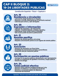 Resumen esquemático de los artículos 19 a 24 de la Constitución Española: residencia y circulación (19), libertad de expresión e información con el límite del honor y la intimidad (20), reunión pacífica y sin armas (21), asociación con fines lícitos (22), participación en asuntos públicos y derecho de sufragio (23), y tutela judicial efectiva con presunción de inocencia (24)