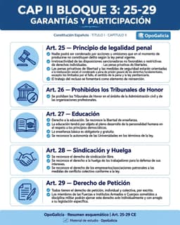 Resumen esquemático de los artículos 25 a 29 de la Constitución Española: principio de legalidad penal e irretroactividad (25), prohibición de los Tribunales de Honor (26), derecho a la educación y libertad de enseñanza (27), sindicación y huelga (28), y derecho de petición individual y colectiva (29)