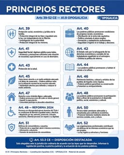 Resumen esquemático de los 14 artículos de principios rectores de la Constitución Española (39 a 52): familia, trabajo y pleno empleo, seguridad social, salud, medio ambiente, patrimonio histórico, vivienda digna, participación de la juventud, discapacidad (reforma 2024: libertad e igualdad reales y efectivas, autonomía personal e inclusión social), tercera edad, consumidores y organizaciones profesionales, con el art. 53.3 sobre su carácter informador